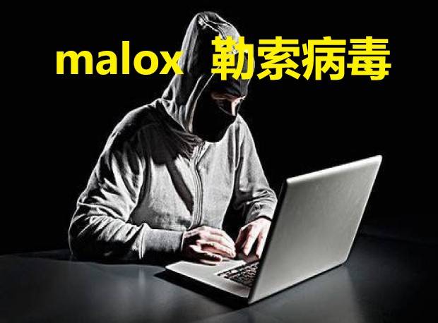 AVAX上扬势惊人，一夜飙升458%，加密市场沸腾